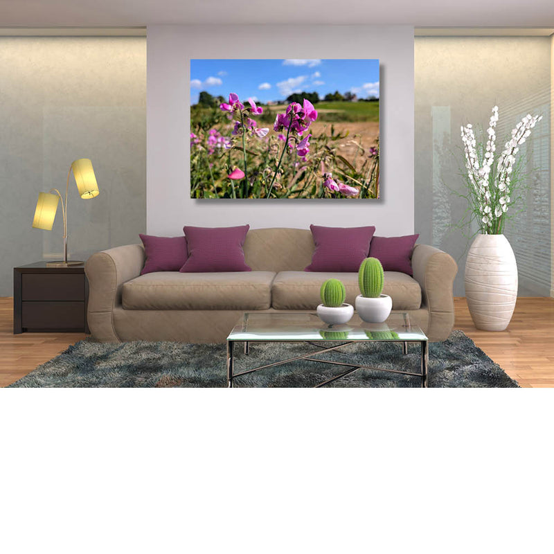 Kleur langs de veldwegen