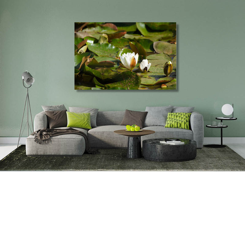 Bedje van waterlelie