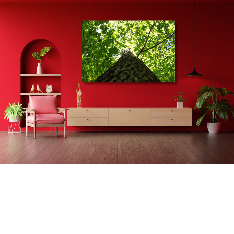 Omhoog tot aan de bladeren