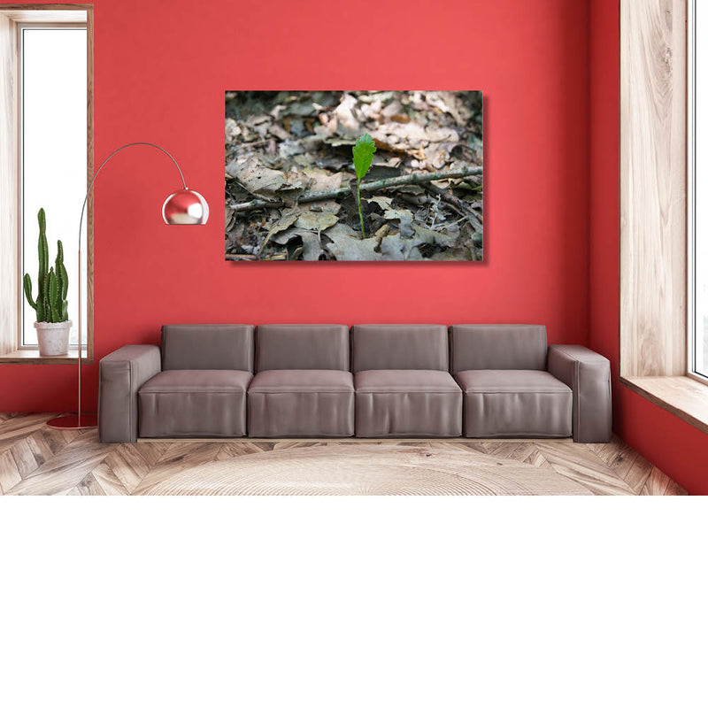 Nieuw leven door het oude