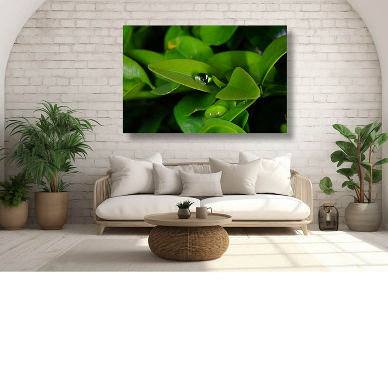 Parels op de blaadjes