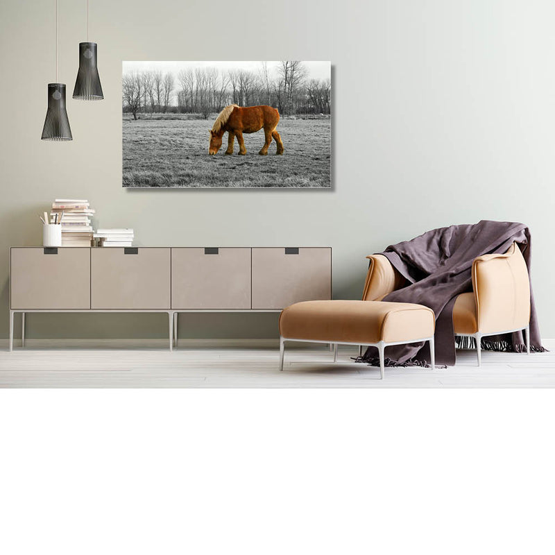 Boerenpaard met kleuraccent