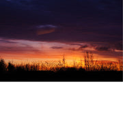 De hemel kleurt in schakeringen van donkerpaars tot warm geel.