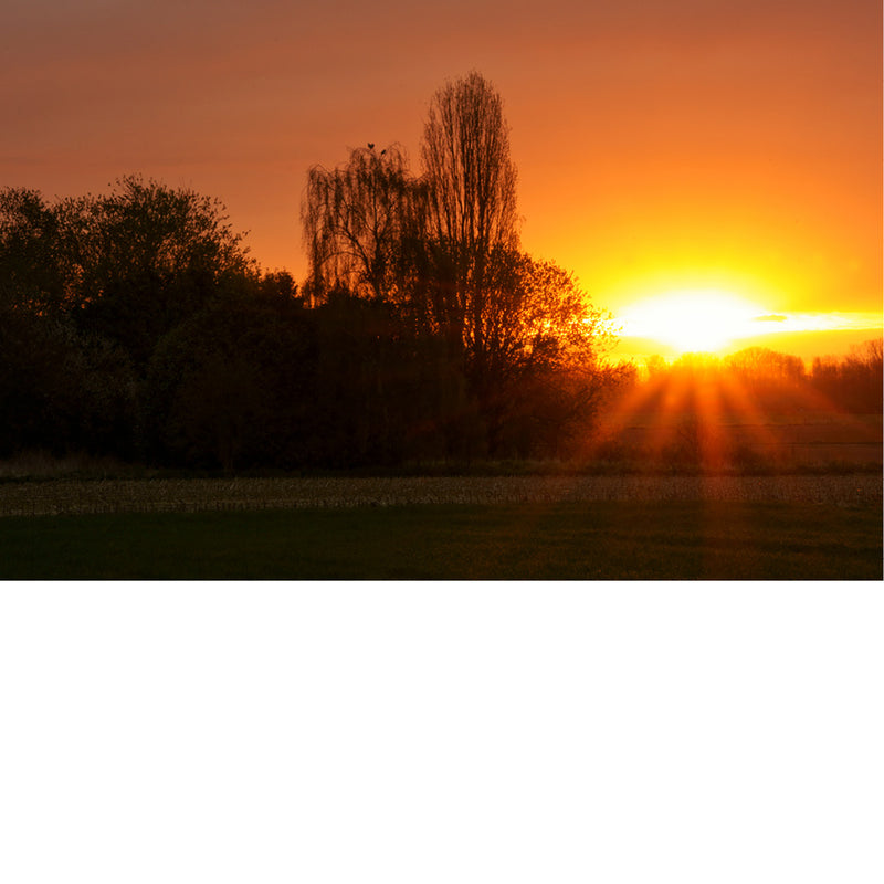 Een intense zonsopgang kleurt de hemel in geel en oranje.