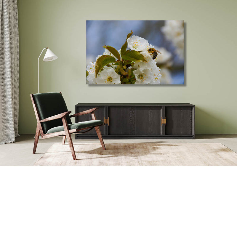 Bijenwerk in de bloesem