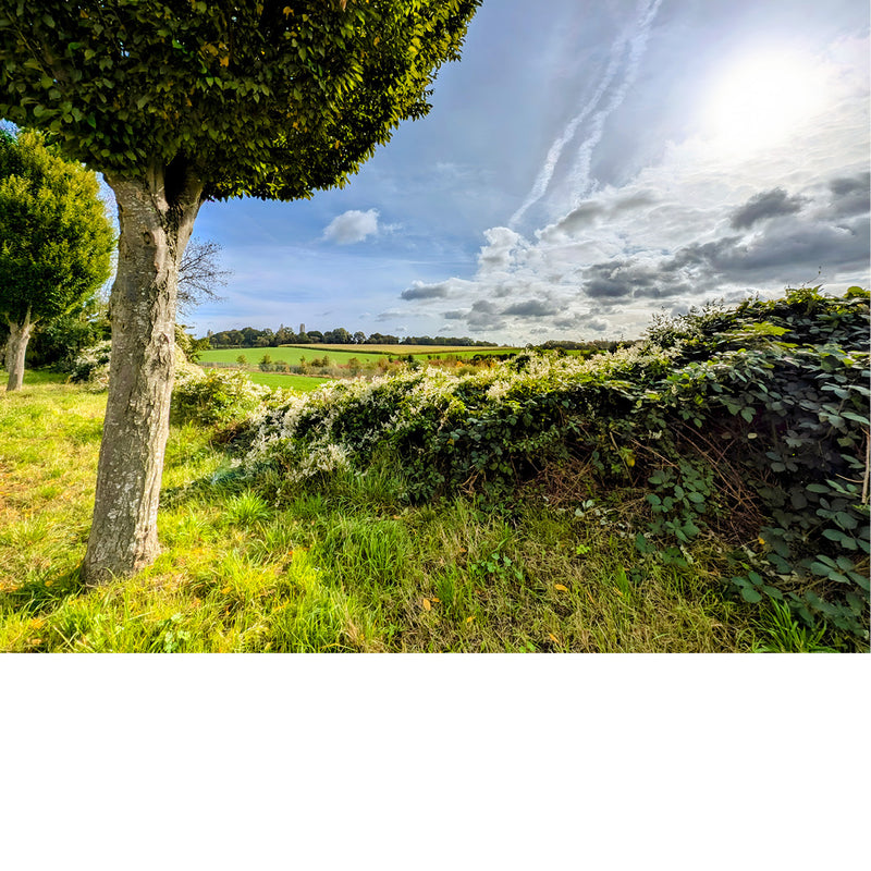 De wolken vloeien binnen in dit intens groene landschap.