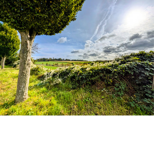 De wolken vloeien binnen in dit intens groene landschap.