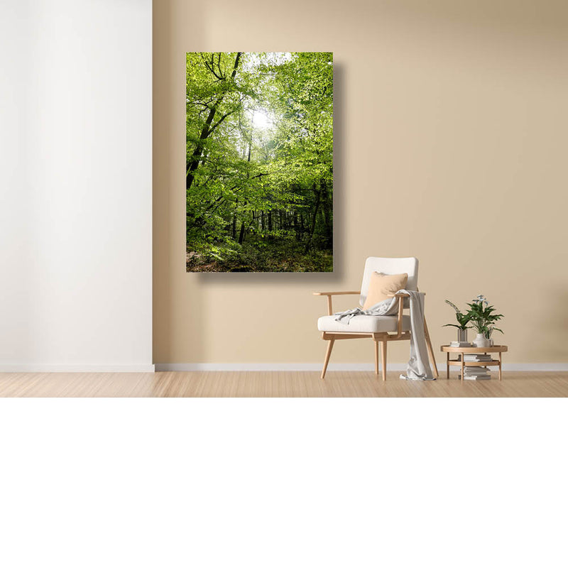 Groene bomen met een zonnetje