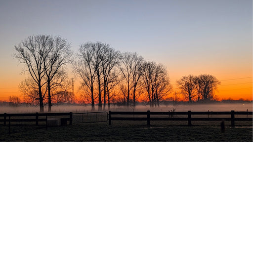 Een koude, mistige, maar intens oranje zonsopgang in januari.