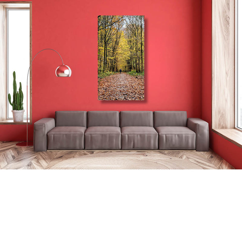 Wandelen langs de hoge bomen