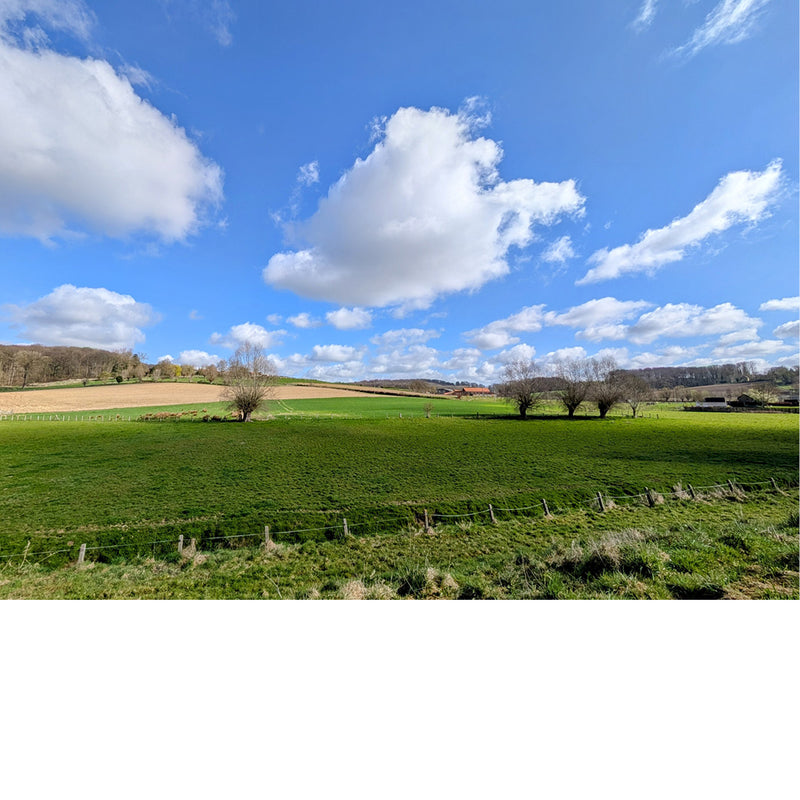 Een prachtig landschap waar alle kleuren afspatten.