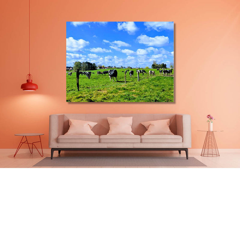 Koetjes in de lentewei