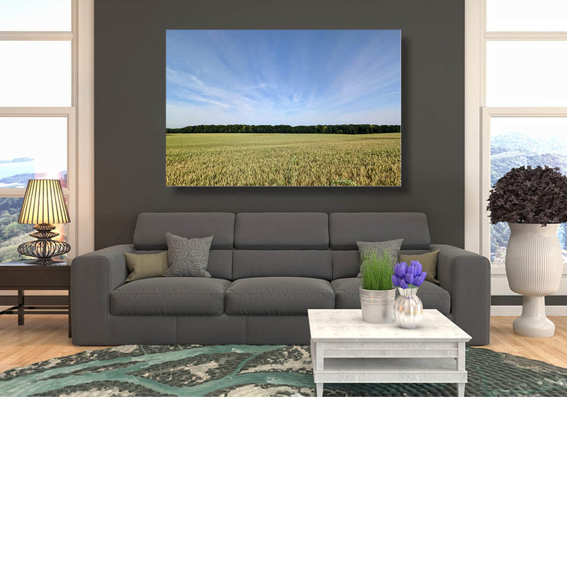 Tarwe met een uitzicht