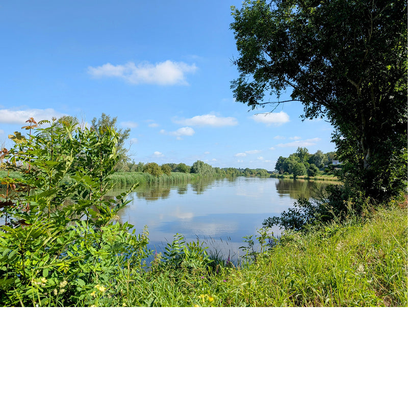 Beeld van de typische, mooie Scheldeboorden, met veel groen en veel water.