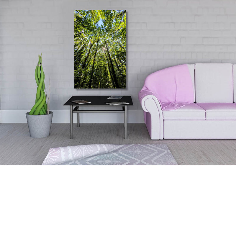 Omhoog langs de hoge bomen