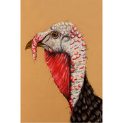 Een karaktervolle kalkoen in profiel - Pastelkrijt en potlood op pastelmat.