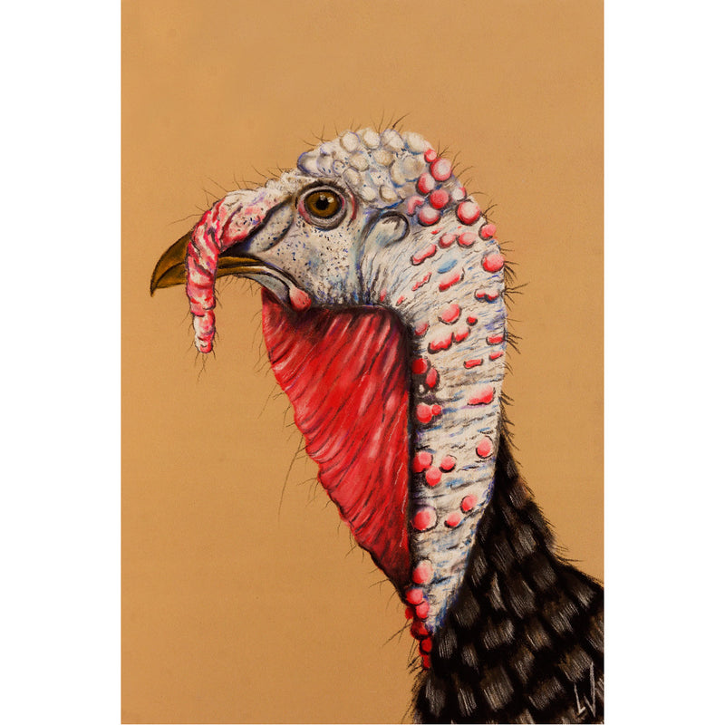 Een karaktervolle kalkoen in profiel - Pastelkrijt en potlood op pastelmat.