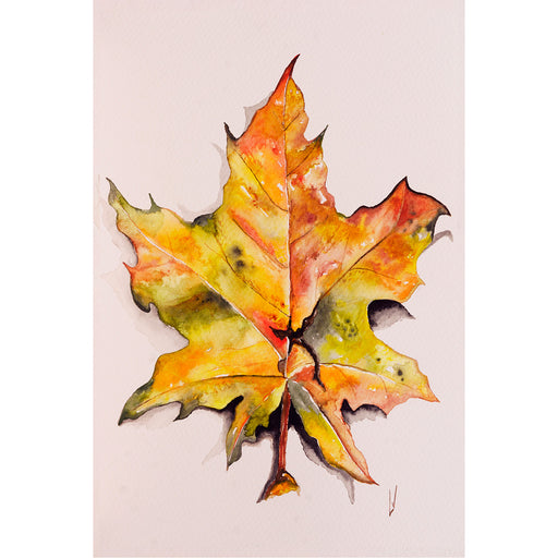 Kleuren troef in dit herfstblad - Aquarel op zuurvrij papier.