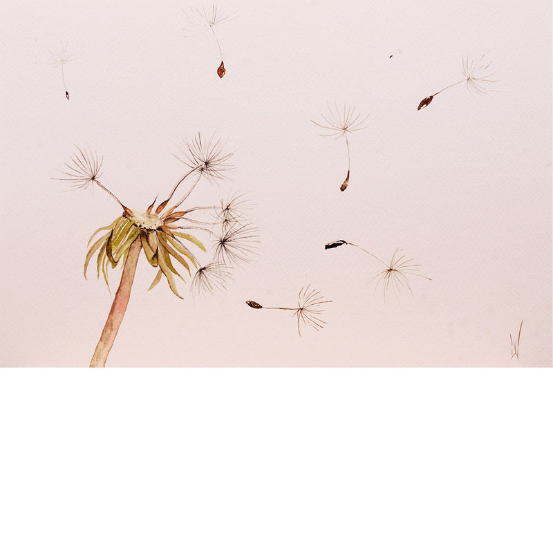 De pluisjes van de paardenbloem vliegen in de wind - Aquarel op zuurvrij papier.
