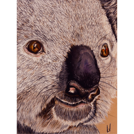 Een mooie close up van een koalabeertje - Pastelkrijt en potlood op pastelmat.