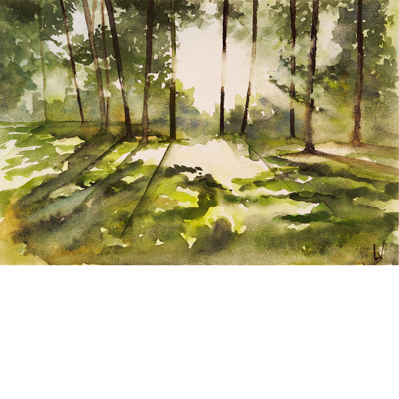 De zon prikt tussen de bomen in dit bos - Aquarel op zuurvrij papier.
