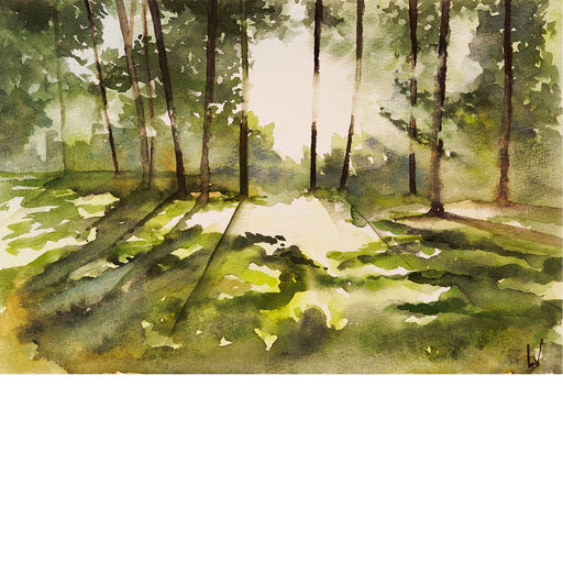 De zon prikt tussen de bomen in dit bos - Aquarel op zuurvrij papier.