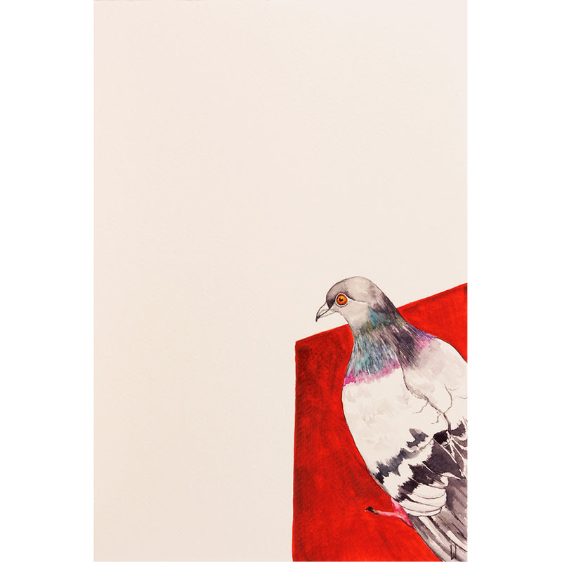 Deze duif wacht - in een hoekje - haar kans af - Aquarel op zuurvrij papier.