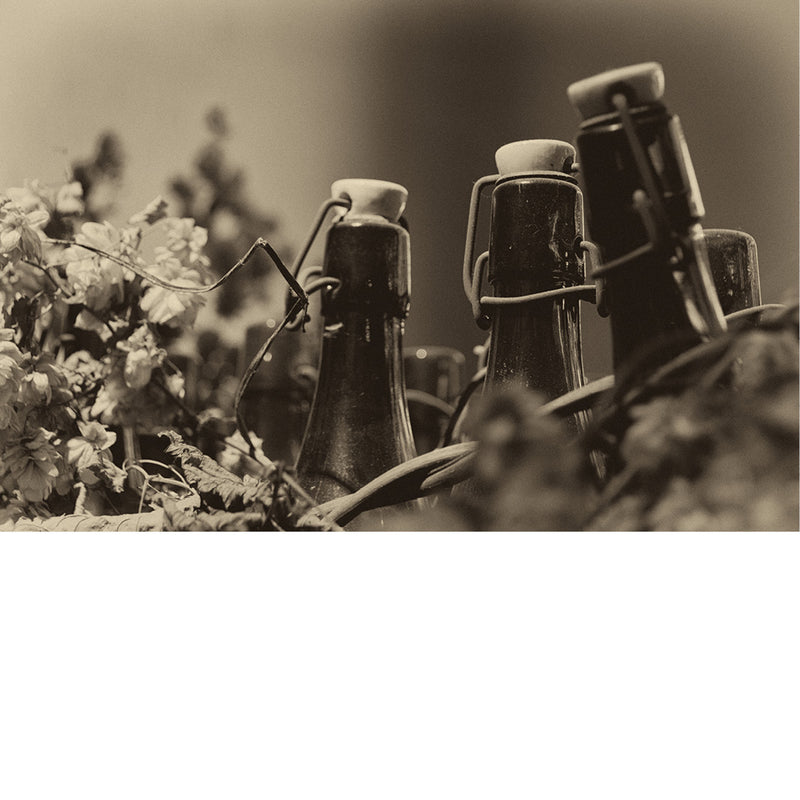 Gezien in een oude brouwerij