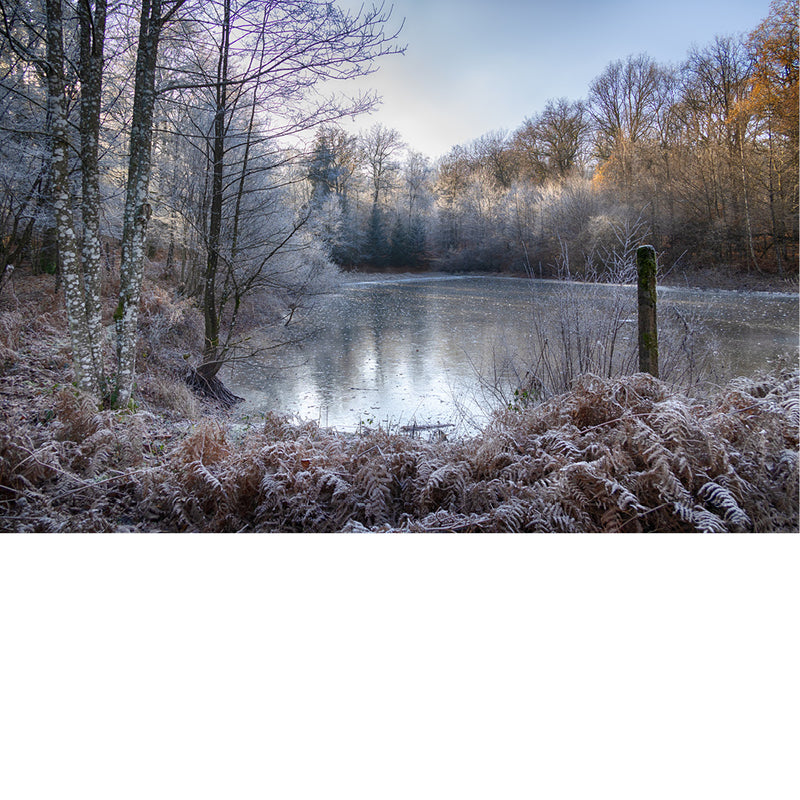 Tegengekomen tijdens winterwandeling in de Belgische Ardennen