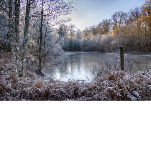 Tegengekomen tijdens winterwandeling in de Belgische Ardennen
