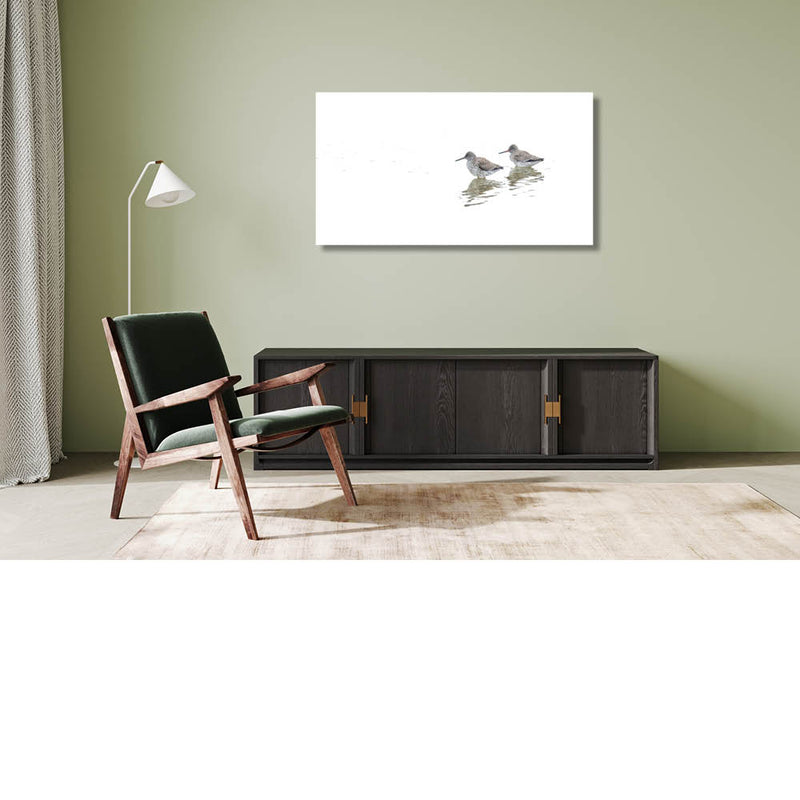 Twee Tureluurs in het witte water