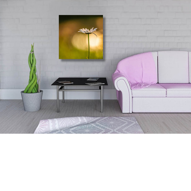 Madeliefje in het groen