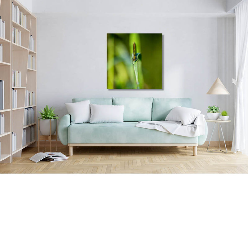 Ik kijk terug naar jou