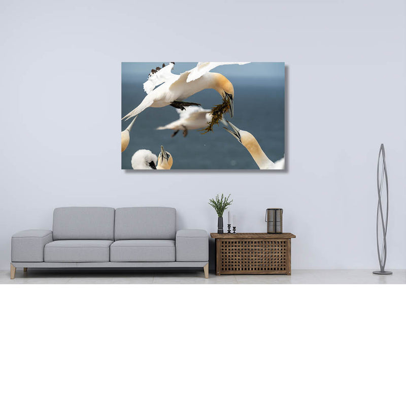 Jan Van Luchtgevechten