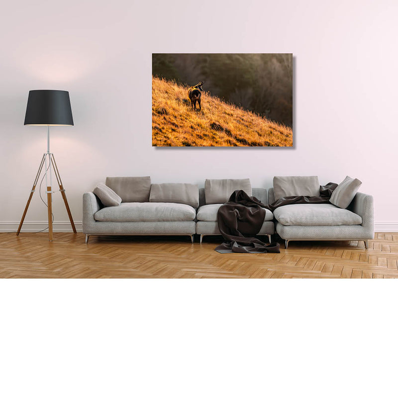 Berggeit bekijkt de afgrond