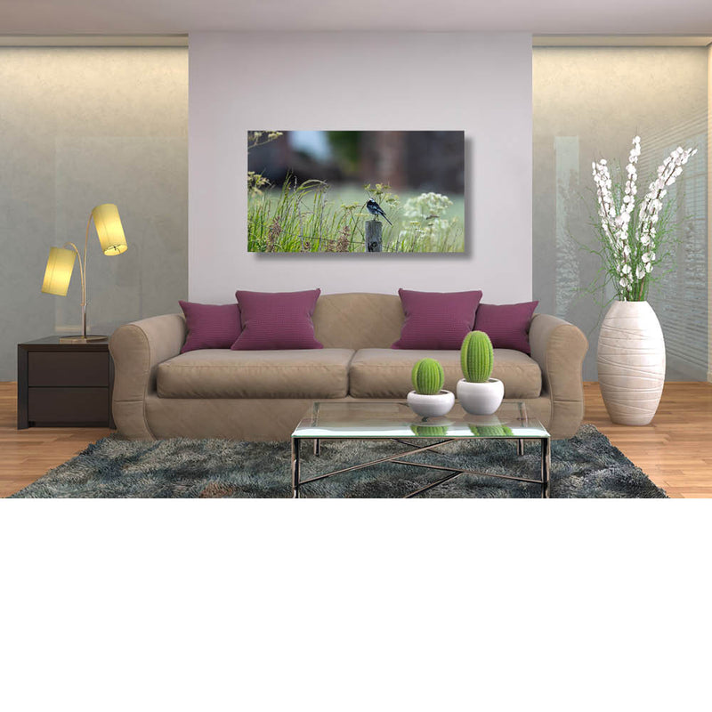 Kiekje van een kwikje