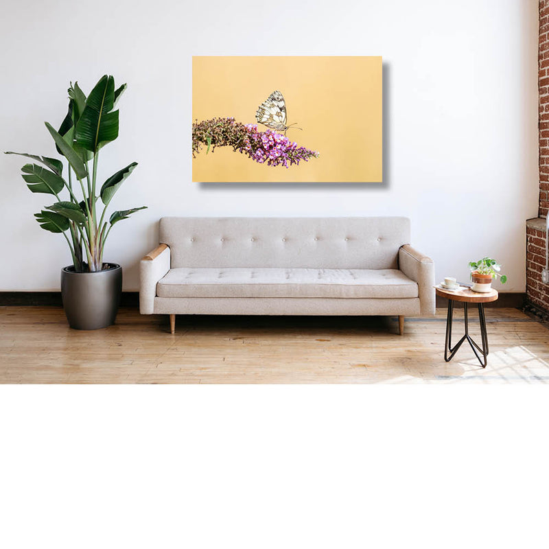 Spelletje dammen, iemand?