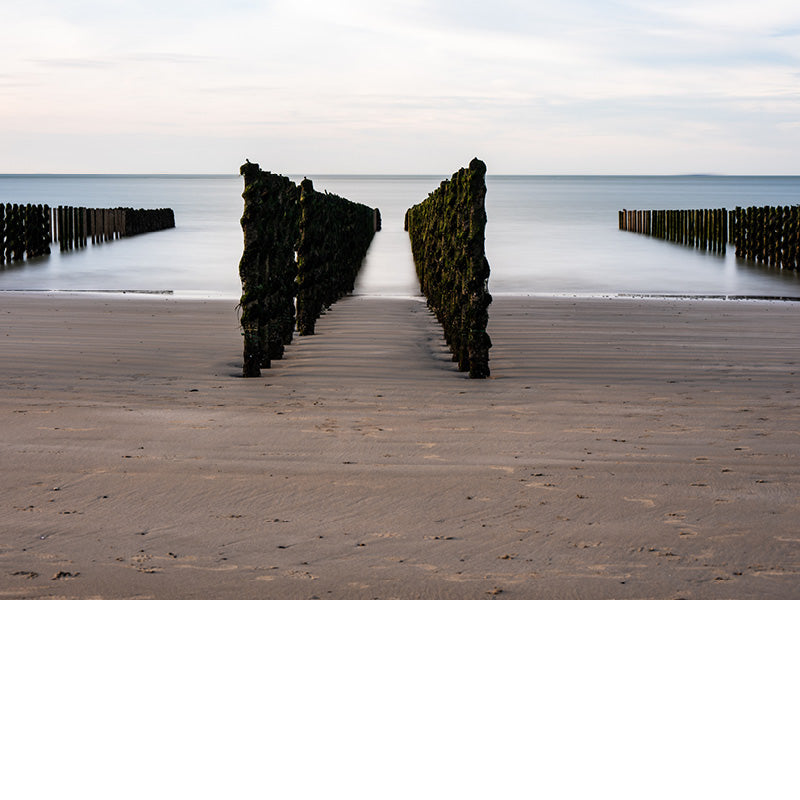 Paalhoofden breken de golven en gaan stranderosie tegen, maar soms lijken ze ook uit te nodigen om in de zee te gaan.