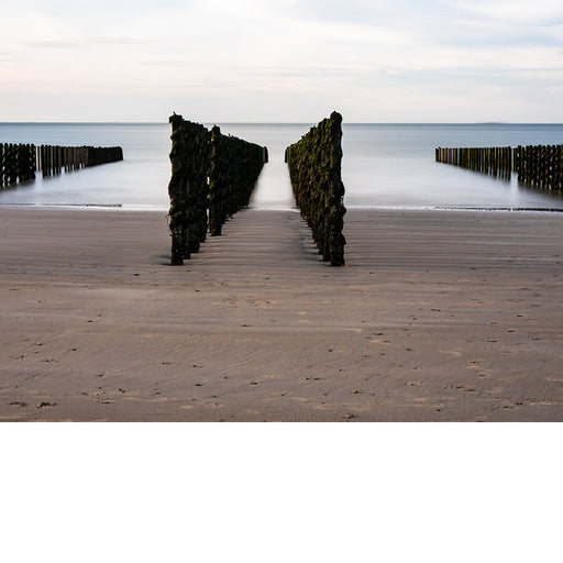 Paalhoofden breken de golven en gaan stranderosie tegen, maar soms lijken ze ook uit te nodigen om in de zee te gaan.