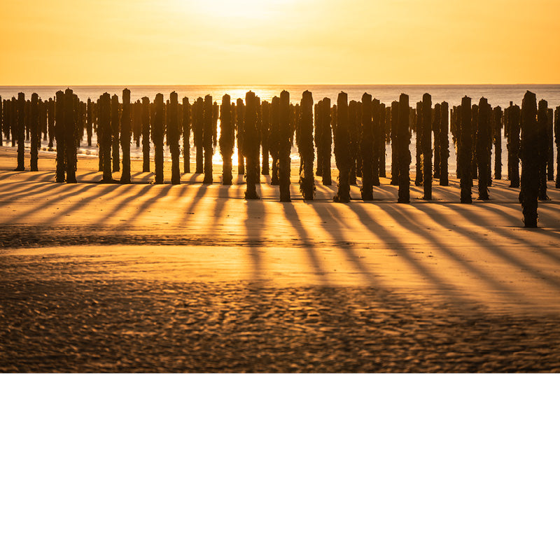 De paalhoofden op het strand langs de Opaalkust lijken wel soldaten  die hun schaduw werpen door de zon.