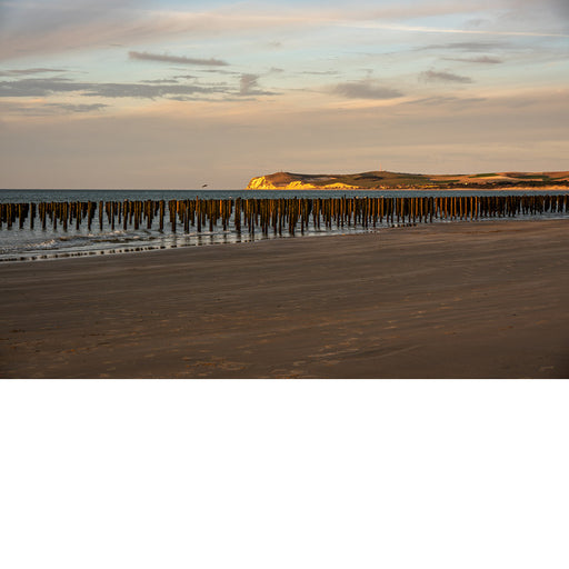Dit stuk kust is helemaal afgezet met paalhoofden. Zij breken de golven en gaan stranderosie tegen.