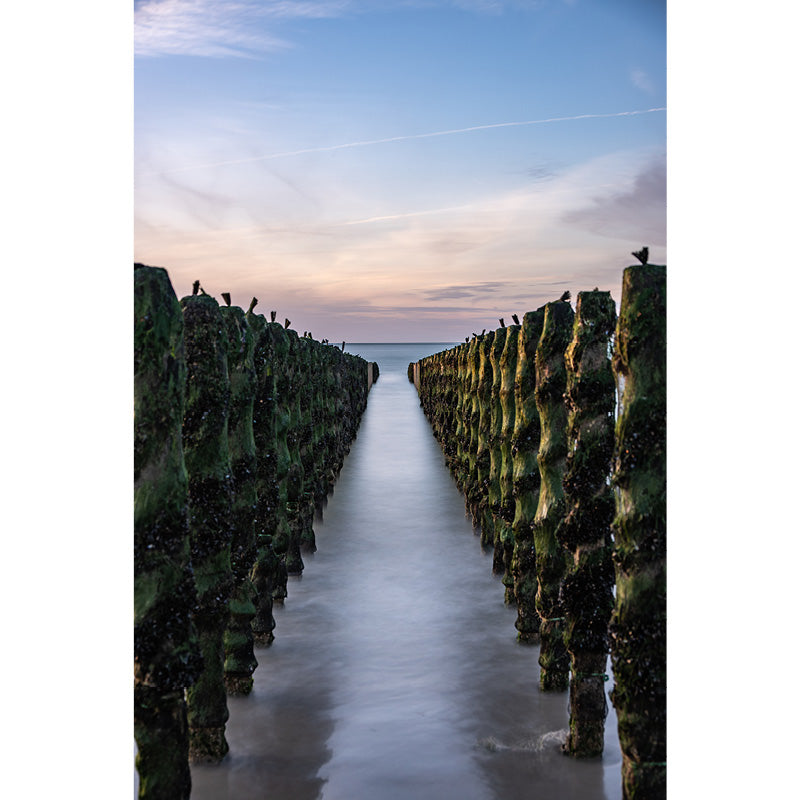 Paalhoofden breken de golven en gaan stranderosie tegen, maar soms lijken ze ook uit te nodigen om in de zee te gaan.