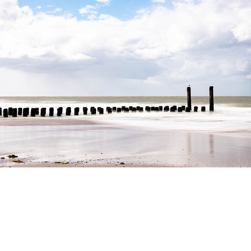 Een meeuw kiest de hoogste strandpaal om toch droog te zitten.