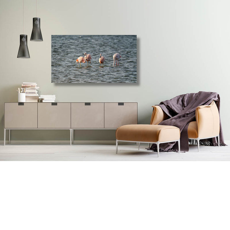 Flamingo's in het water