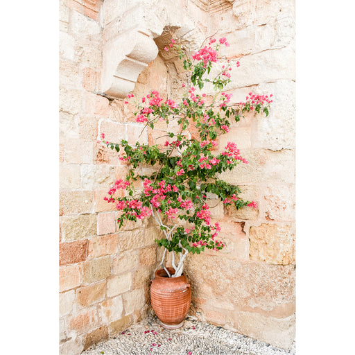 Een vrolijk accentje in een hoekje van een plein