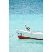 Een pelikaan rust op een bootje op Bonaire