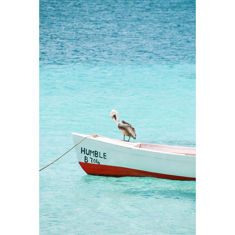 Een pelikaan rust op een bootje op Bonaire