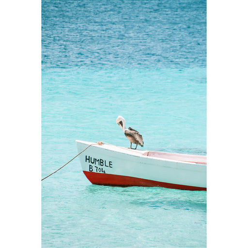 Een pelikaan rust op een bootje op Bonaire