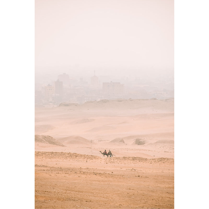 Kamelen sjokken door de woestijn bij Caïro