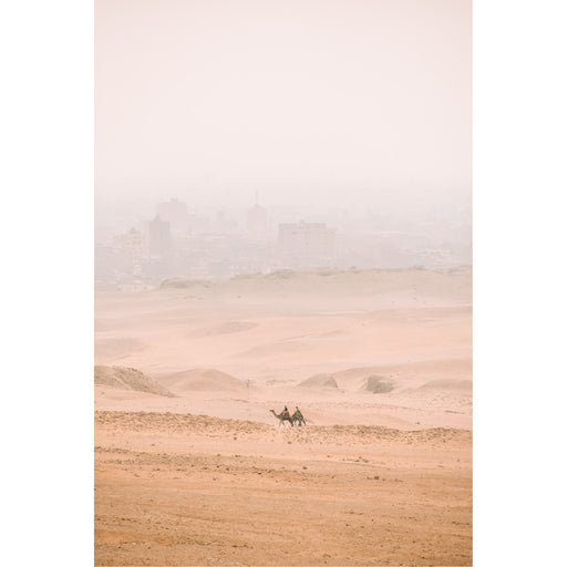 Kamelen sjokken door de woestijn bij Caïro